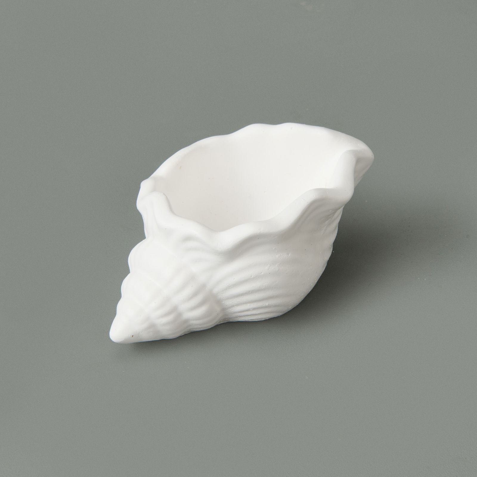 Deco Nautilius Dekor - Beyaz - 10 cm