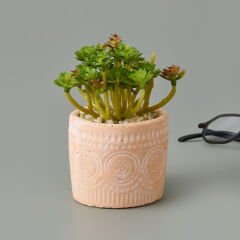 Eskitme Saksılı Sukulent - Asorti - 10x8x8 cm
