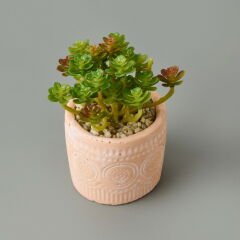 Eskitme Saksılı Sukulent - Asorti - 10x8x8 cm