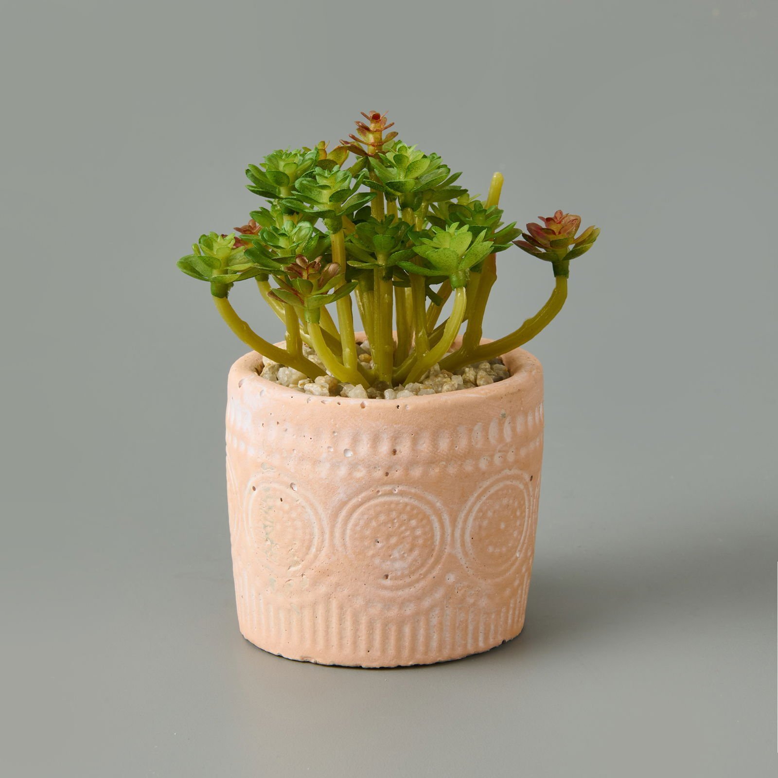 Eskitme Saksılı Sukulent - Asorti - 10x8x8 cm
