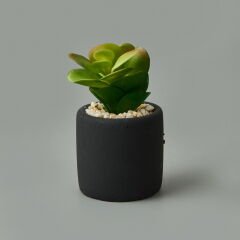 Mini Pot Sukulent - Siyah - 8x6x6 cm