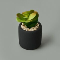 Mini Pot Sukulent - Siyah - 8x6x6 cm