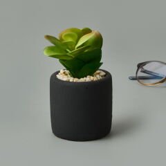 Mini Pot Sukulent - Siyah - 8x6x6 cm