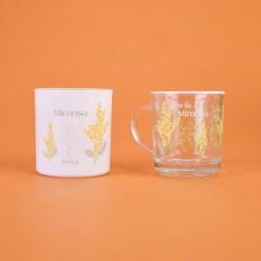Mimosa Kupa ve Mum Seti - Renkli - 250 ml