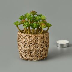 Hasır Efekt Saksıda Sukulent - 7x8x8 cm