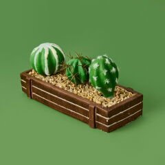 Mini Kasada Kaktüs - Kahverengi - 8x21 cm