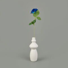 Dal Gala Gül - Asorti - 33 cm