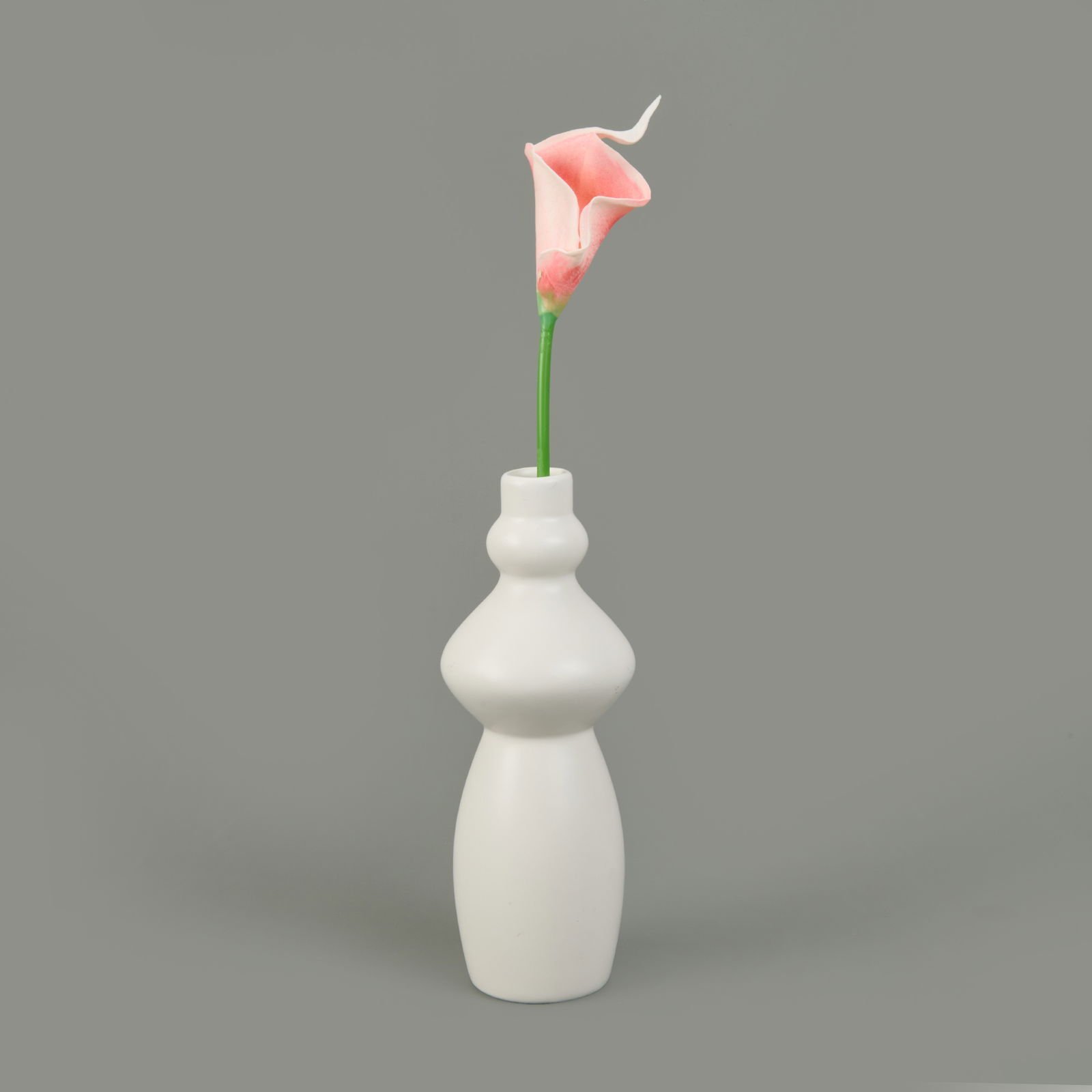 Dal Gala Çiçeği - Asorti - 33 cm