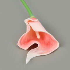 Dal Gala Çiçeği - Asorti - 33 cm