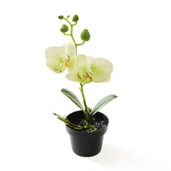 Saksılı Yapay Orkide - Asorti - 13x10x25 cm