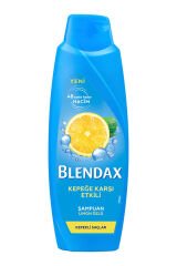 Blendax Şampuan 500 ml Kepeğe Karşı Etkili