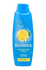 Blendax Şampuan 500 ml Kepeğe Karşı Etkili