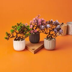 Dekor Yapay Bonsai - Asorti - 12x17 cm