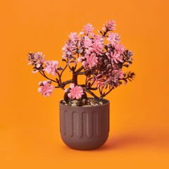 Dekor Yapay Bonsai - Asorti - 12x17 cm