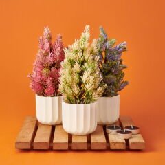 Dekor Yapay Çam - Asorti - 10,5x26 cm