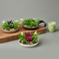Dekor Aranjman Sukulent - Asorti - 15x10 cm