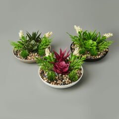 Dekor Aranjman Sukulent - Asorti - 15x10 cm