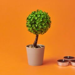 Dekor Top Yapay Ağaç - Asorti - 8x18 cm