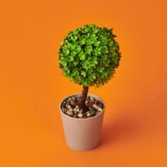 Dekor Top Yapay Ağaç - Asorti - 8x18 cm