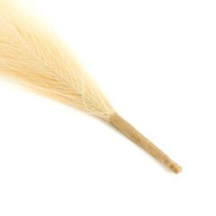 Dekoratif Tüy - Krem - 44 cm