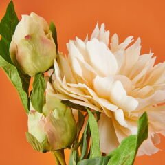 Şakayık Yapay Çiçek - Krem - 65 cm