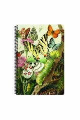 Art Style Defter A4 80 Yaprak Çizgili PP Kapak Spiralli