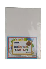 Fly Bristol Karton 10 Lu Paket 25x35
