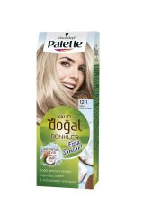 Pnc Pallette Saç Boyası 12-1 Küllü Buz Sarısı