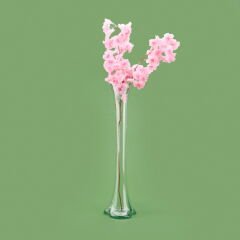 Fil Ayağı Vazo - Şeffaf - 60 cm