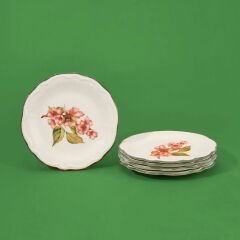 Kitchen Orchid 6'lı Tatlı Tabağı - Renkli