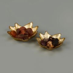 Kitchen Tupelo 2'li Çerezlik - Altın